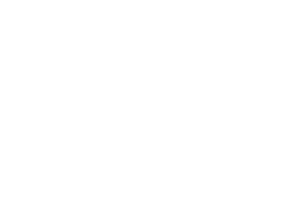 logo footer